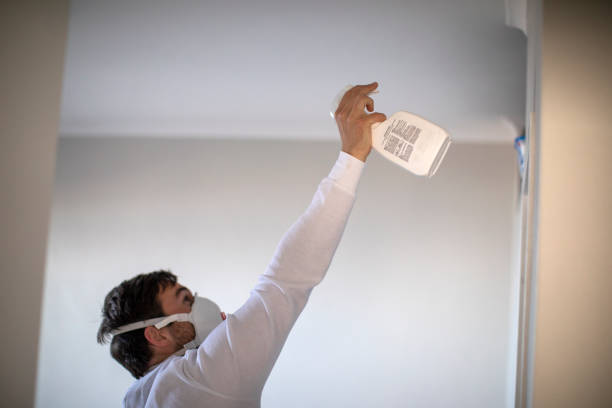 Trusted Holly Springs, MS Mold Removal Experts