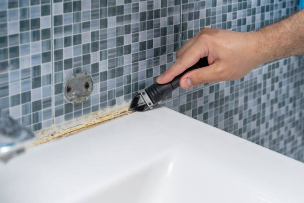 Best Mold Removal Near Me  in Holly Springs, MS