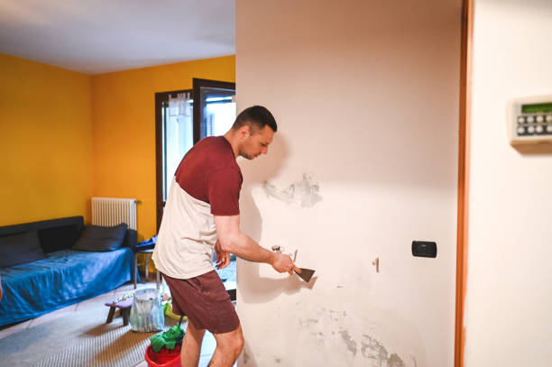 Best Affordable Mold Removal  in Holly Springs, MS