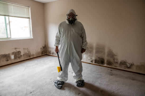 Best Mold Testing  in Holly Springs, MS